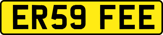 ER59FEE