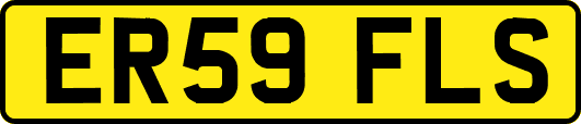ER59FLS