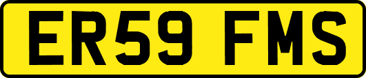 ER59FMS