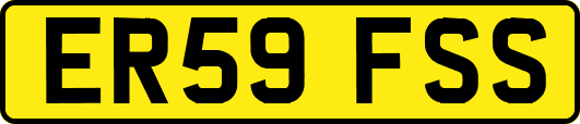 ER59FSS