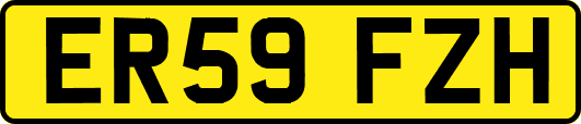 ER59FZH