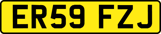 ER59FZJ