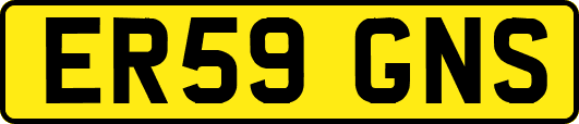 ER59GNS
