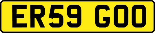 ER59GOO