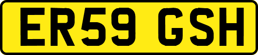 ER59GSH