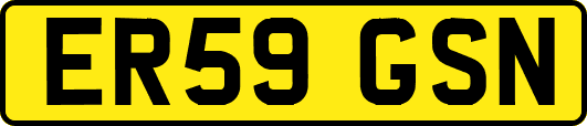 ER59GSN