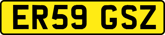 ER59GSZ