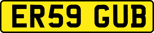 ER59GUB