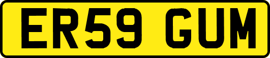 ER59GUM