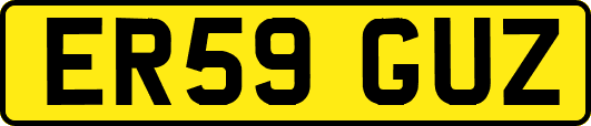 ER59GUZ
