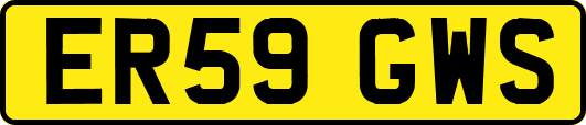 ER59GWS