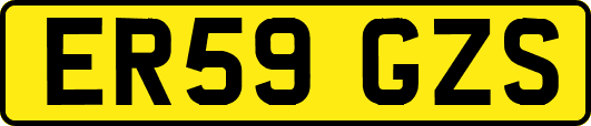ER59GZS
