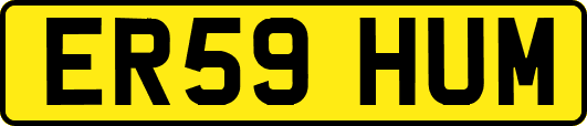 ER59HUM