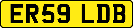 ER59LDB