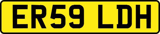 ER59LDH