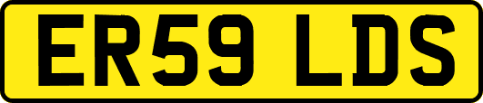ER59LDS