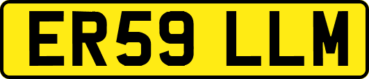 ER59LLM