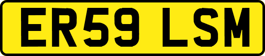 ER59LSM