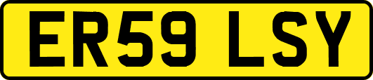 ER59LSY