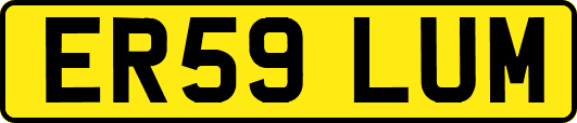 ER59LUM