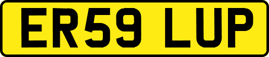 ER59LUP