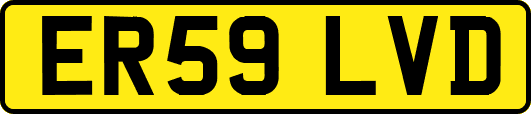 ER59LVD