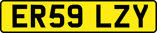 ER59LZY