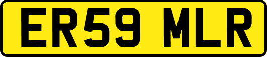 ER59MLR