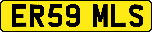 ER59MLS