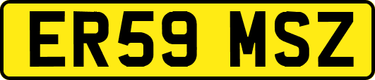 ER59MSZ