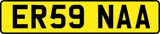 ER59NAA
