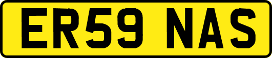 ER59NAS