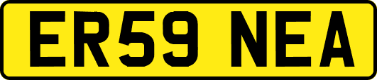 ER59NEA