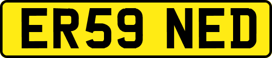 ER59NED