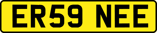 ER59NEE