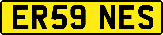 ER59NES