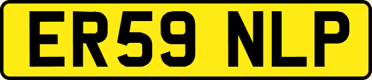 ER59NLP
