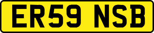 ER59NSB