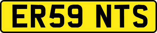 ER59NTS