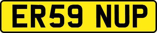 ER59NUP