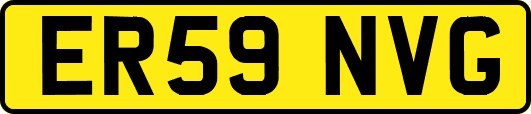 ER59NVG