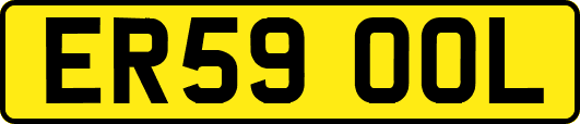 ER59OOL