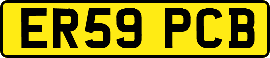 ER59PCB