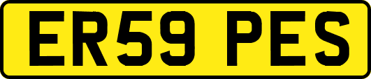 ER59PES