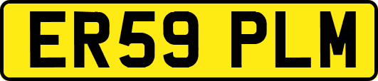 ER59PLM