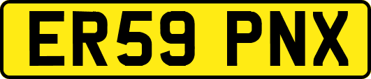 ER59PNX