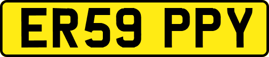 ER59PPY