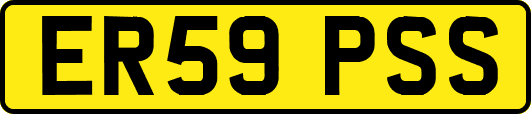 ER59PSS