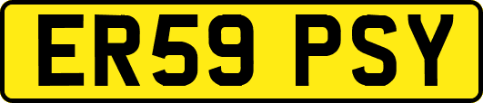 ER59PSY