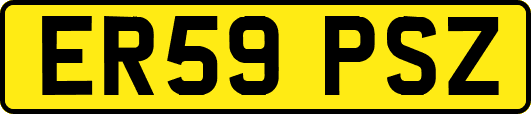 ER59PSZ